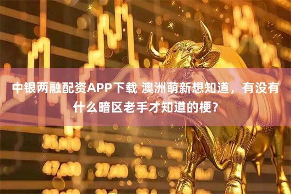 中银两融配资APP下载 澳洲萌新想知道，有没有什么暗区老手才知道的梗？