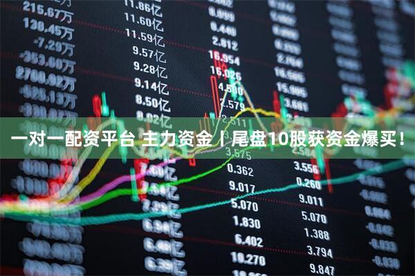 一对一配资平台 主力资金丨尾盘10股获资金爆买！