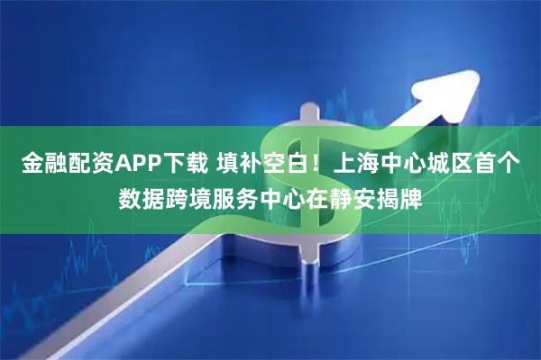 金融配资APP下载 填补空白！上海中心城区首个数据跨境服务中心在静安揭牌