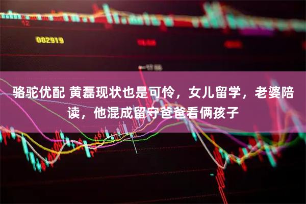 骆驼优配 黄磊现状也是可怜，女儿留学，老婆陪读，他混成留守爸爸看俩孩子