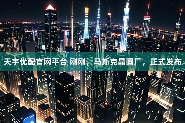 天宇优配官网平台 刚刚，马斯克晶圆厂，正式发布