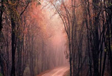 杠杆炒股网站:杠杆融资炒股啥意思-A股阿里概念大面积异动！发生了什么？